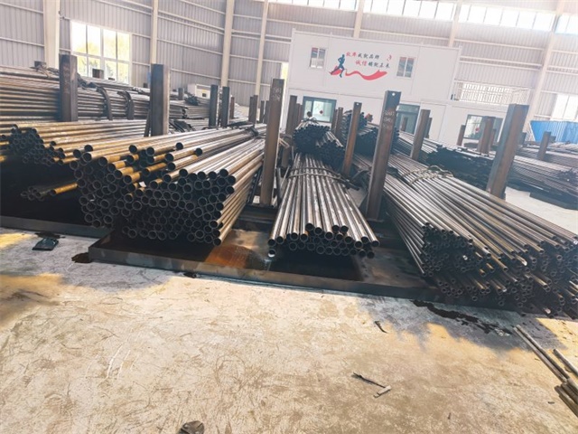 IMG_20230401_142259.jpg IMG_20230401_142259.jpg